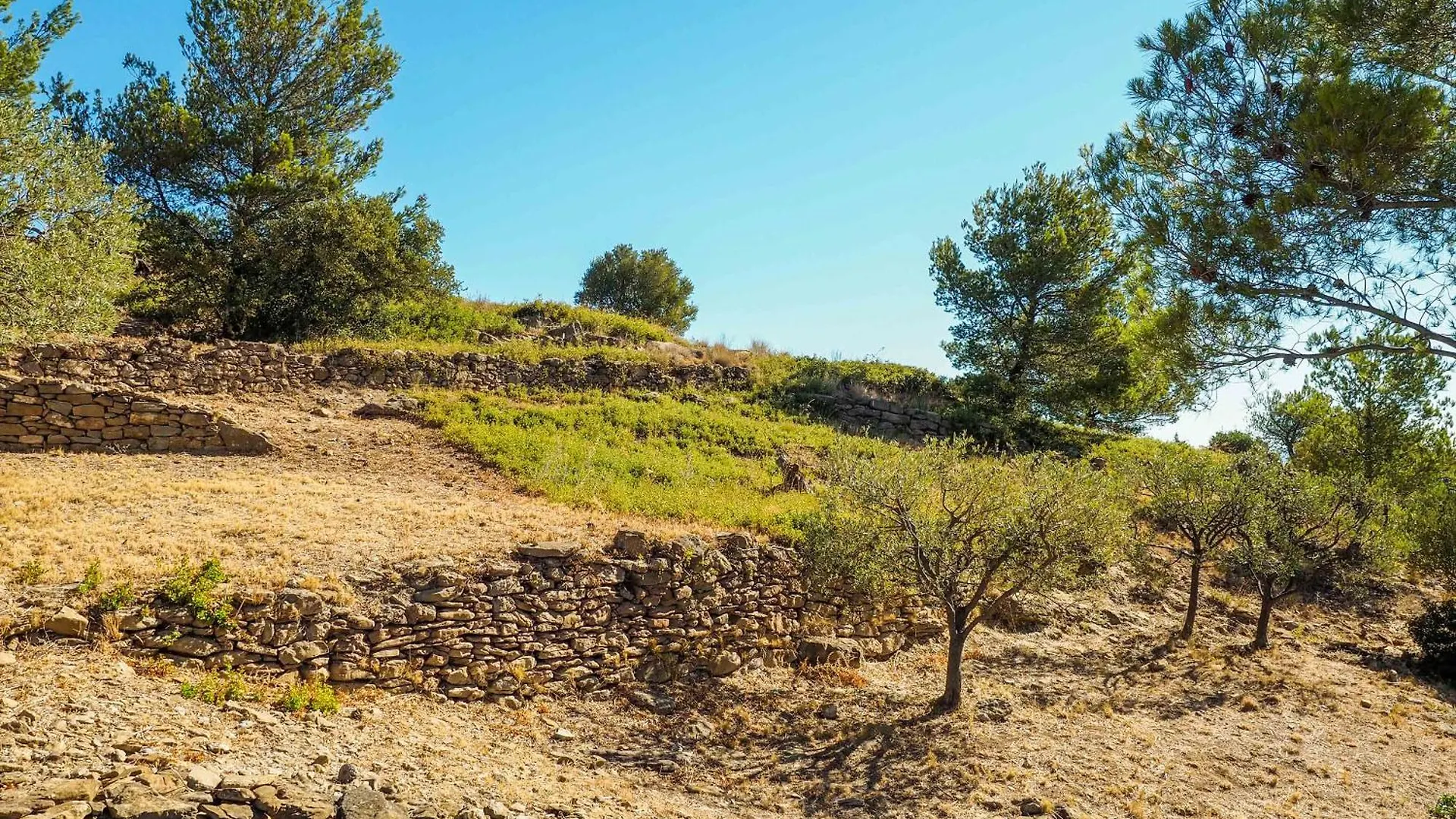 L'Escapade Des Calanques Villa La Ciotat
